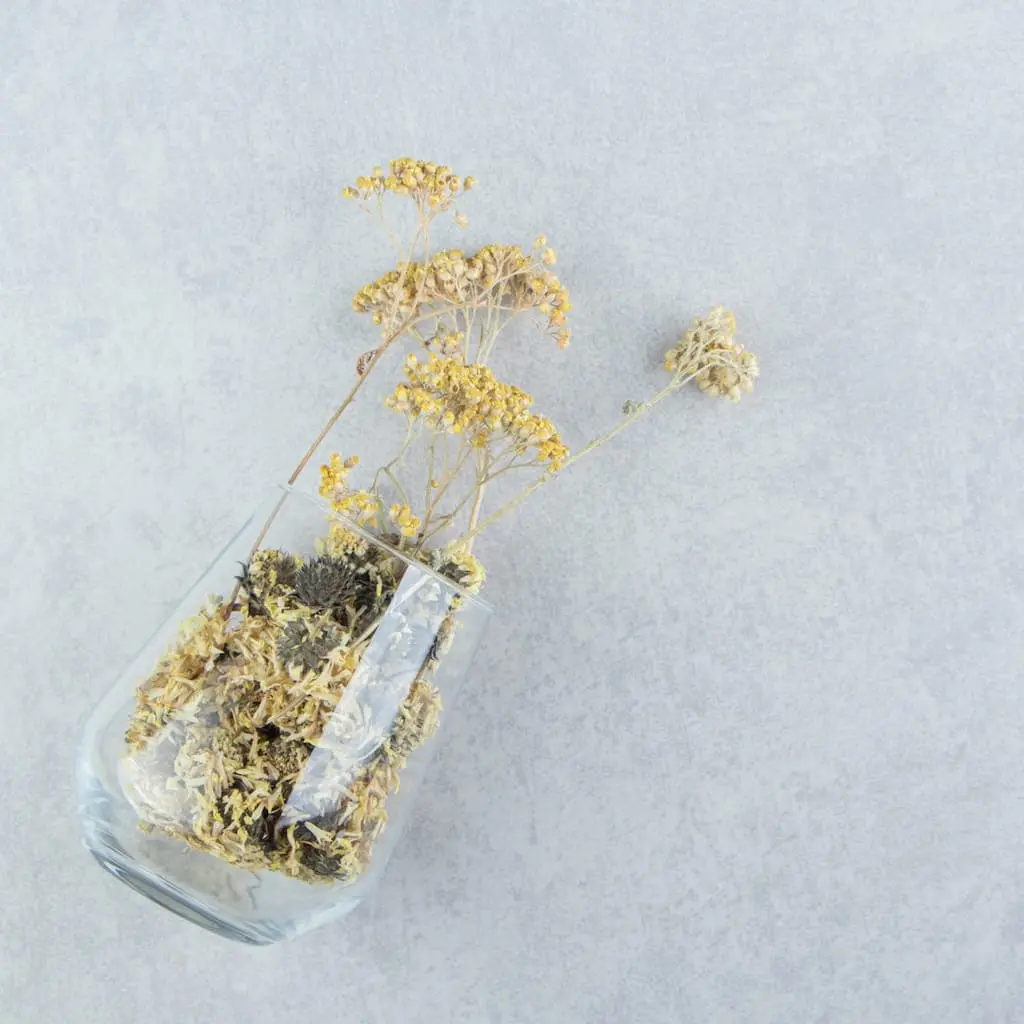 taller gestion ansiedad autocuidado